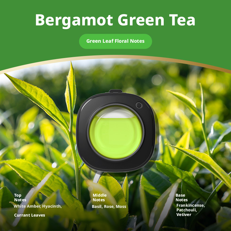 Main product image of Air outlet car aromatherapy-Bergamot tea-1 piece