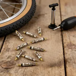 Product image of Bicycle Valve Inserts, Set Of 10 With 10 Black Valve Caps, Replaceable Car Valves For Bicycle Tires, Universal Valve Inserts For Schrader Valves, Handy Repair Kit For Bike Shops And Party Supplies