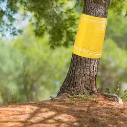 25 Cm X 10 M Tree Protection Sleeve For Fruit Trees, Tree Trunk Protection, Self-Adhesive Trunk Sleeve For Garden Plants, Weather-Resistant Tree Protection Film For Fruit Trees, Practical Trunk Wrap