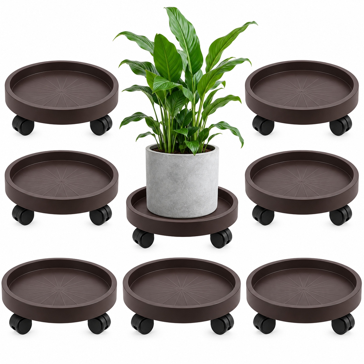 Main product image of 8 Pack Brown Heavy Duty Plant Caddy with Wheels