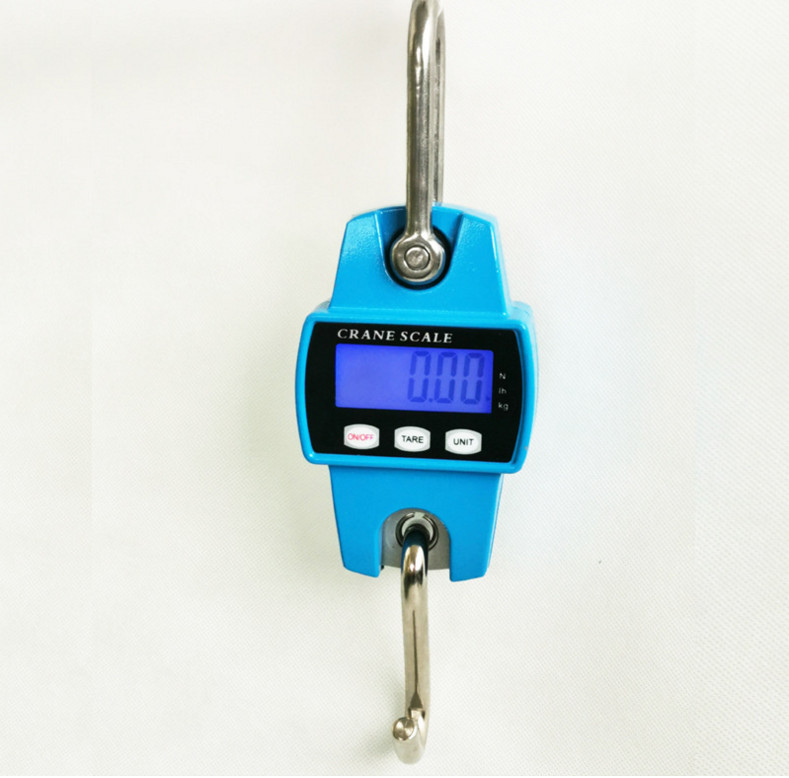 Household electronic crane scale
