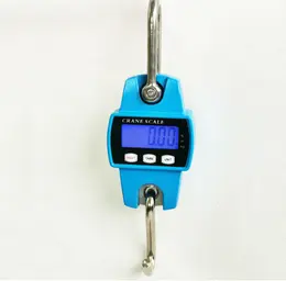 Household electronic crane scale