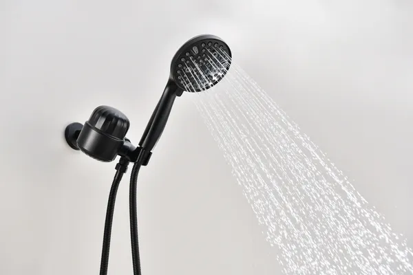 2.0 GPM Handheld Shower Head