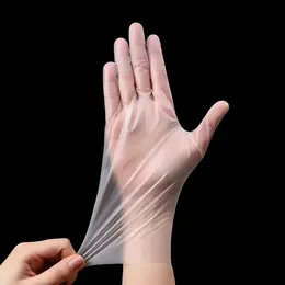 Disposable gloves-L size-TPE-100 pieces-1 box