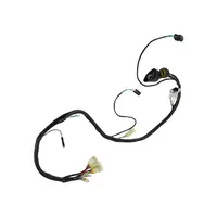 Product image of Wire Harness Assembly for Honda Sportrax 400, 2005-2007, 32100-HN1-A40