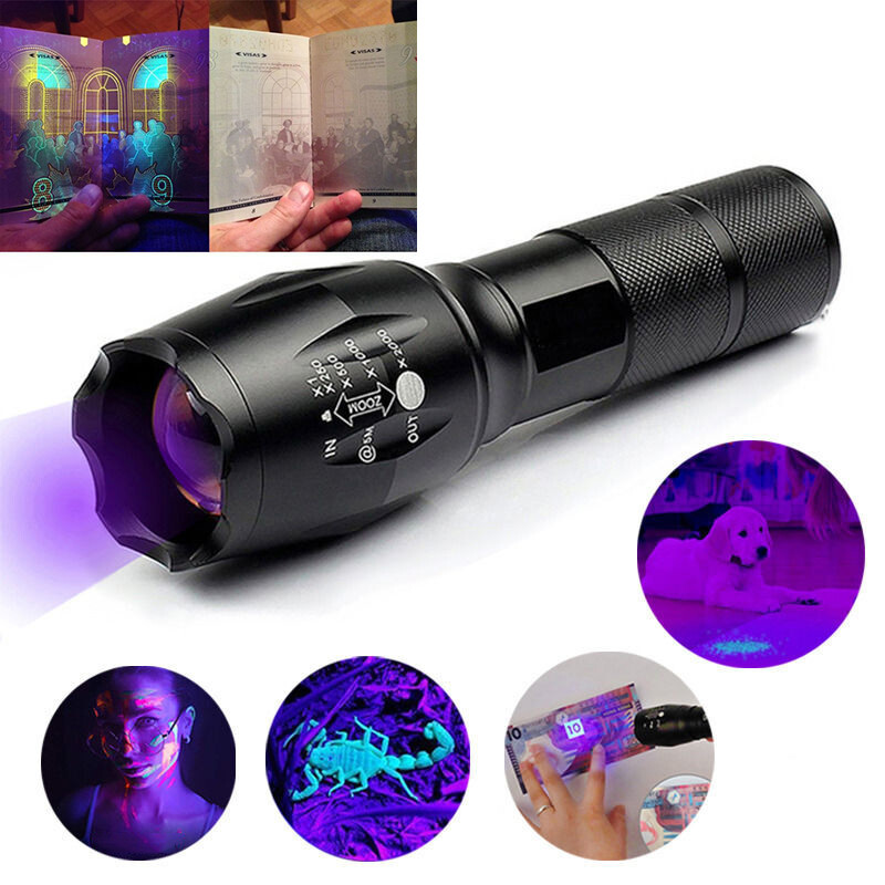 Main product image of UV LED Blacklight Flashlight for Industrial Inspection