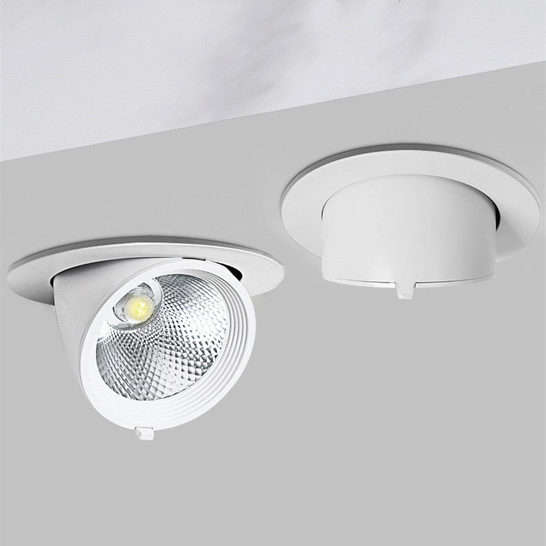 Elephant Trunk Light Recessed Spotlight
