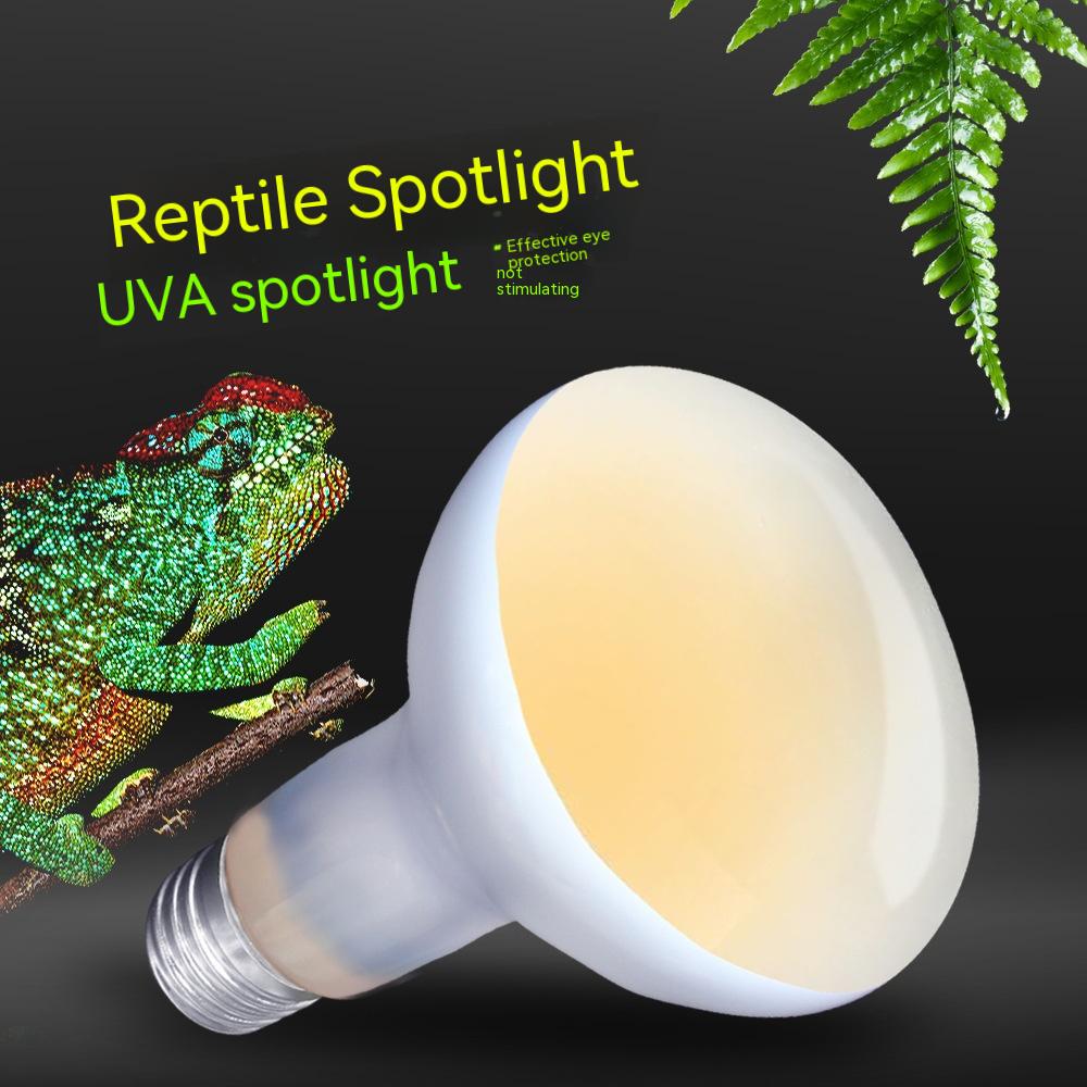 220V Pet Climbing Heating Turtle Lizard Day Light Heating Lamp