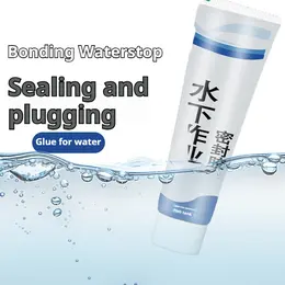 Underwater Adhesive Sealant For Leak Prevention, Glass Fish Tank Leakage