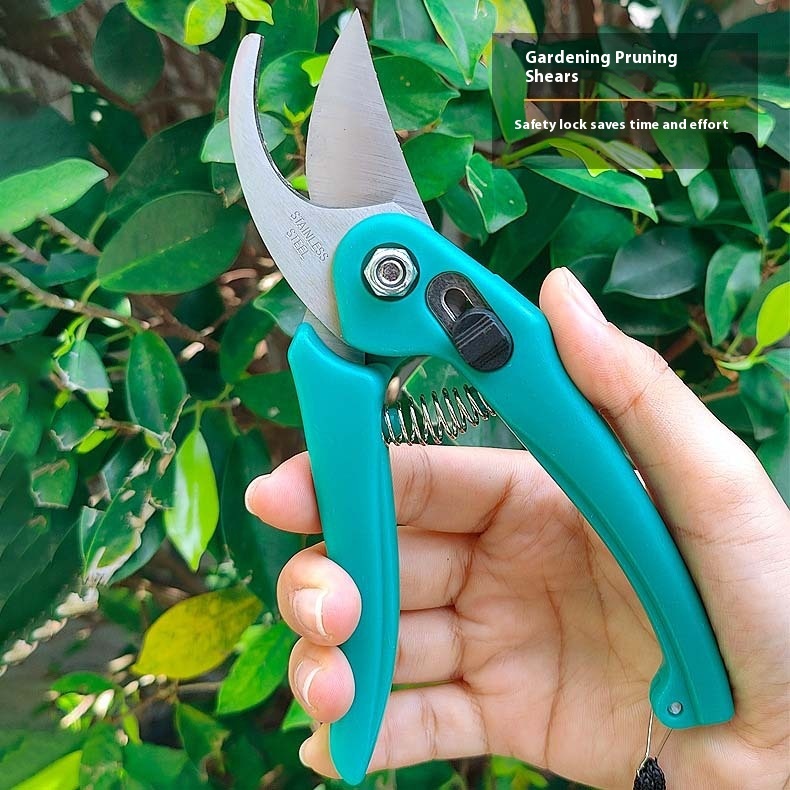 Pruning Shear Branch Special Scissors Garden