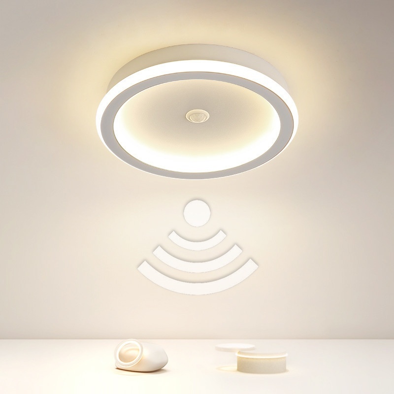 Infrared Sensor Lamp Led Aisle Light Corridor Light Staircase Light-controlled Ceiling Lamp