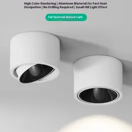 Ultra-thin Surface Mounted Spotlight Adjustable Angle Ceiling Light