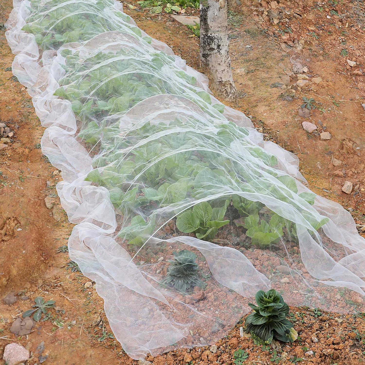 Main product image of Insect-proof Greenhouse Netting, Pre-cut Pieces