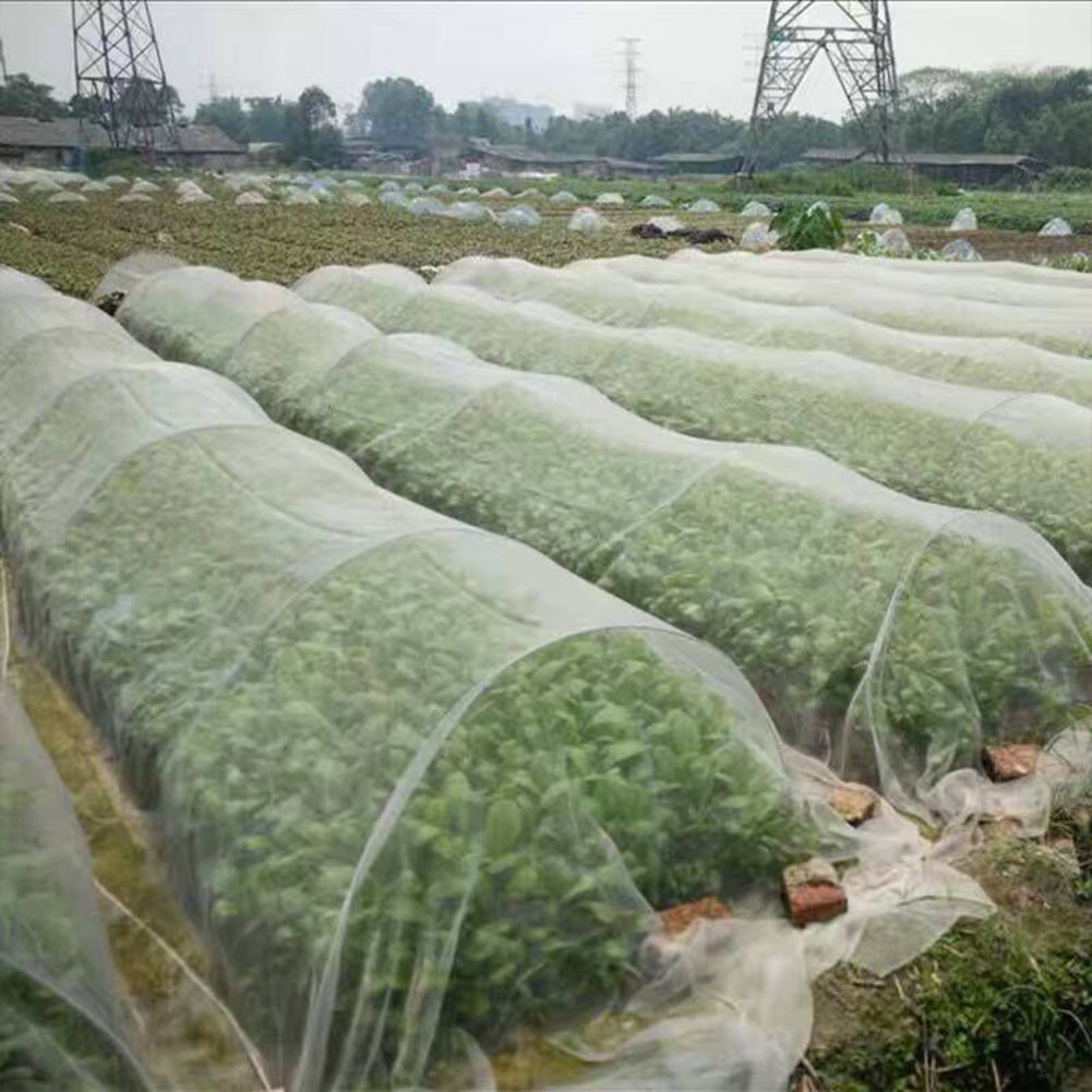 Main product image of Nylon Netting For Bird And Insect Protection In Vegetable Greenhouses