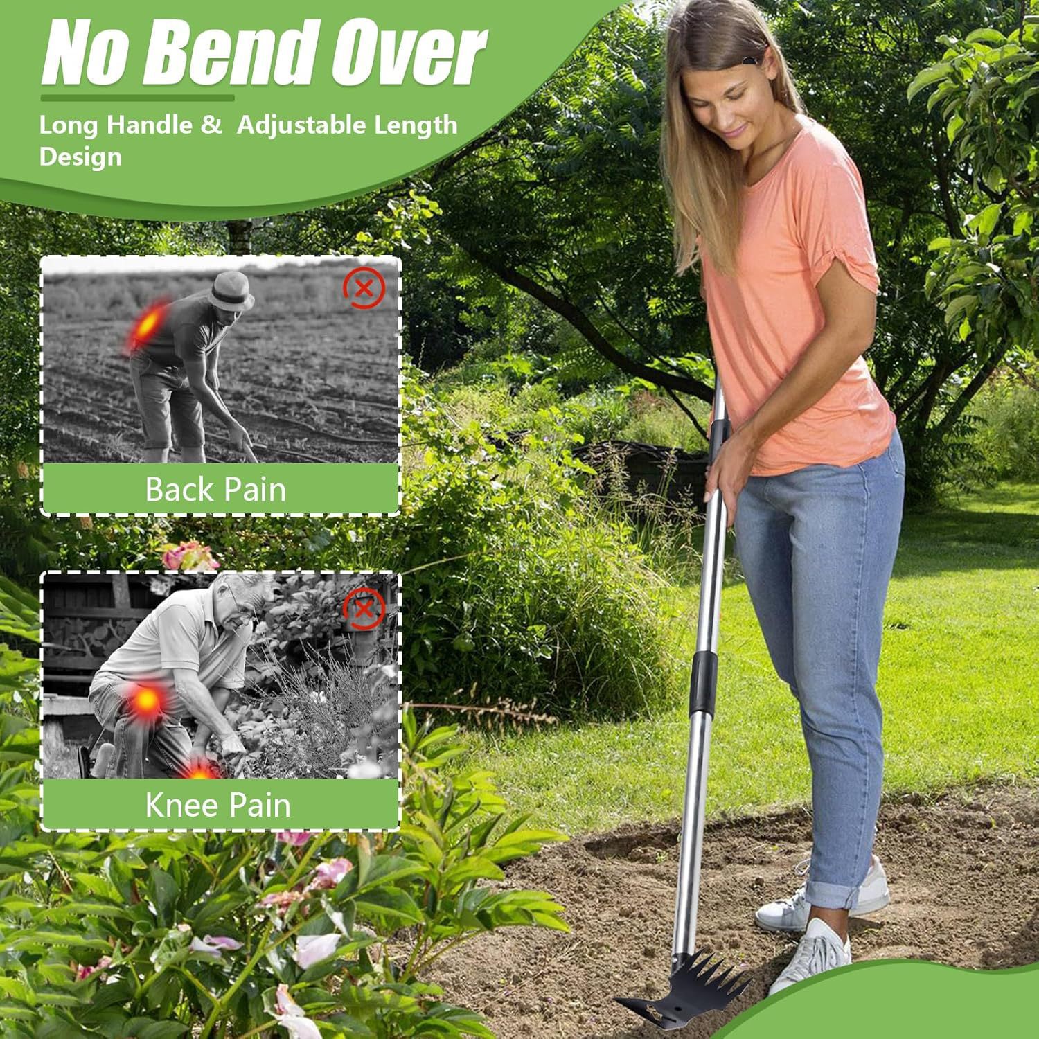 Main product image of Pointed Rake and Hoe, 2-in-1 Garden Cultivating Tool