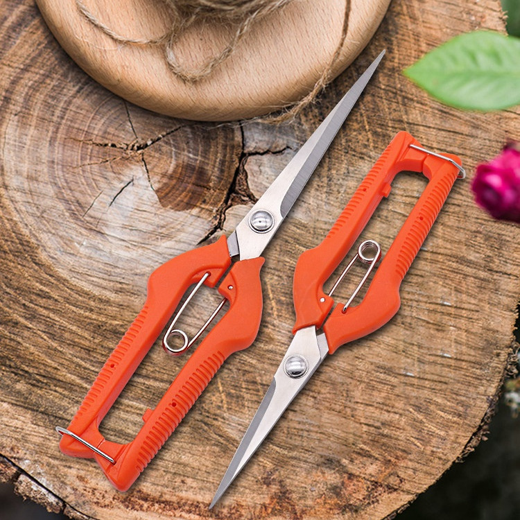 Main product image of Pruning Shears for Garden, Grape Harvesting, and Bonsai Trimming