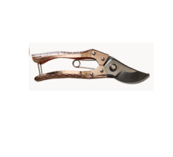 Scissors-Garden pruning model-Rose gold-Stainless steel-1