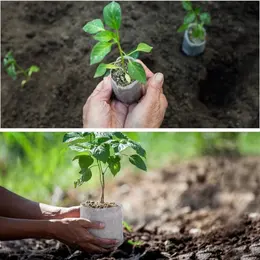 600 Non-Woven Planting Bags In 6 Sizes – Planting Bags For Seedlings, Tomatoes, Flowers, And Vegetables – Convenient Planting Bags For The Garden, Balcony, And Patio