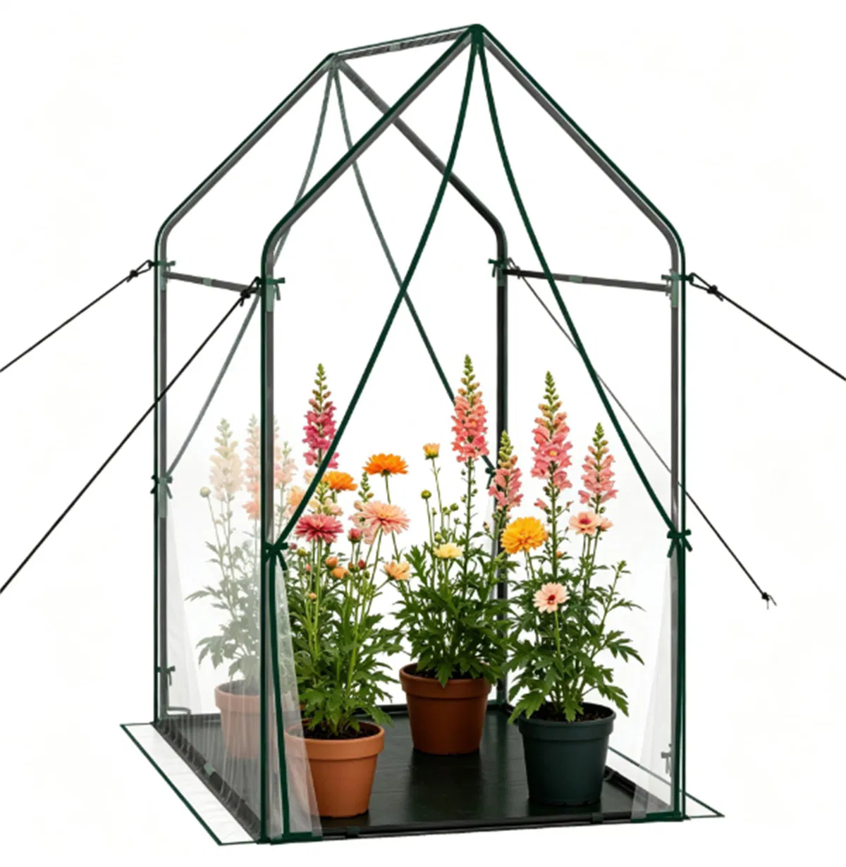 Main product image of 54x36x67 in. Portable Greenhouse, Clear PVC, Metal Frame, PE Mat