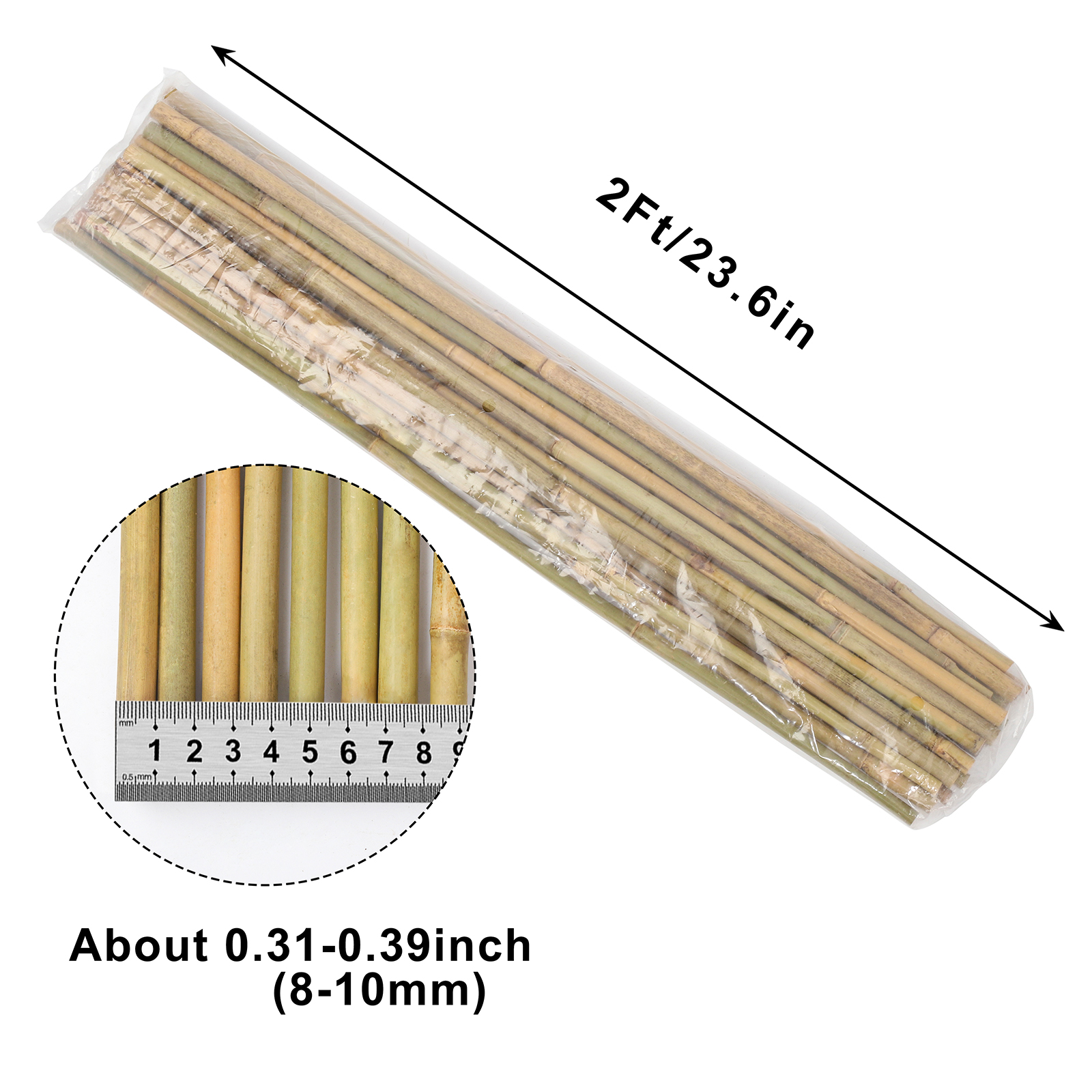 Main product image of Bamboo Plant Stakes, 2 ft, 8-10mm Diameter, 25-Pack