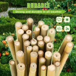 Product image of 4FT, 8-10mm Diameter Natural Bamboo Plant Stakes, 25 pcs
