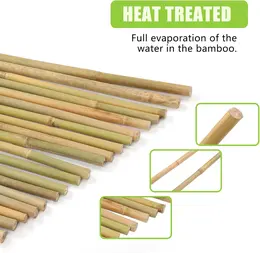 Product image of Bamboo Plant Stakes, 5 FT, 8-10mm Diameter, 20 Pack