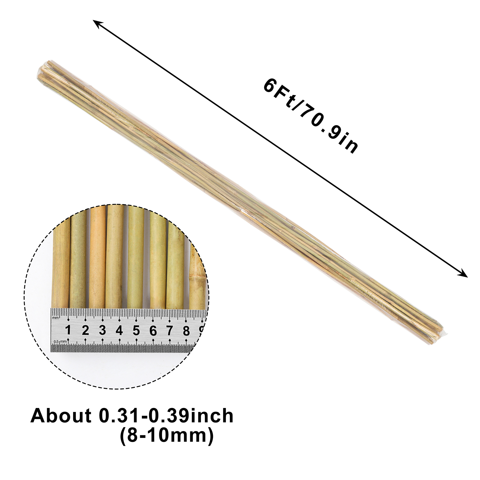 Main product image of 6FT, 8-10mm Diameter Natural Bamboo Plant Stakes, 15-Pack