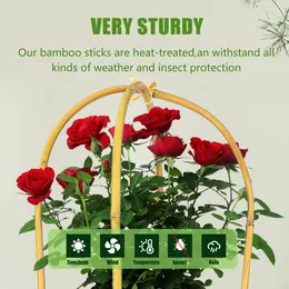 Product image of 3ft Natural Bamboo U-Shaped Garden Trellis, 3-Pack