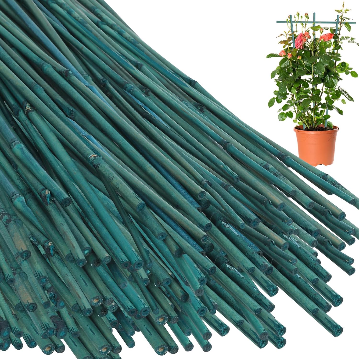 Main product image of 4FT Green Dyed Bamboo Plant Support Stakes, 25 pcs