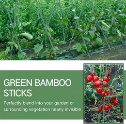 Product image of 5FT Green Dyed Bamboo Stakes, 25pcs, with Twist Ties