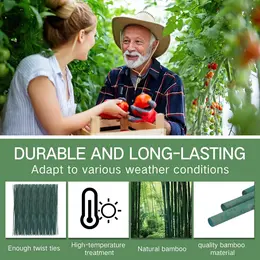 Product image of 6FT Green Dyed Bamboo Stakes for Plant Support, 25 Pieces