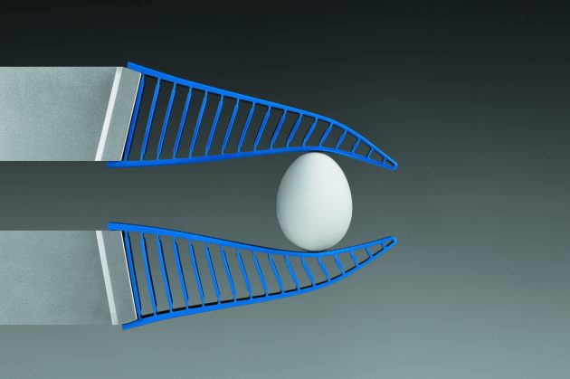 Festo DHAS Adaptive Fin-Ray Gripster